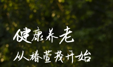 上海养老院对老人和子女的意义 上海养老院对老人和子女的意义