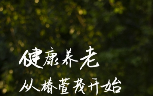 上海养老公寓有益于老人和子女的地方 上海养老公寓有益于老人和子女的地方