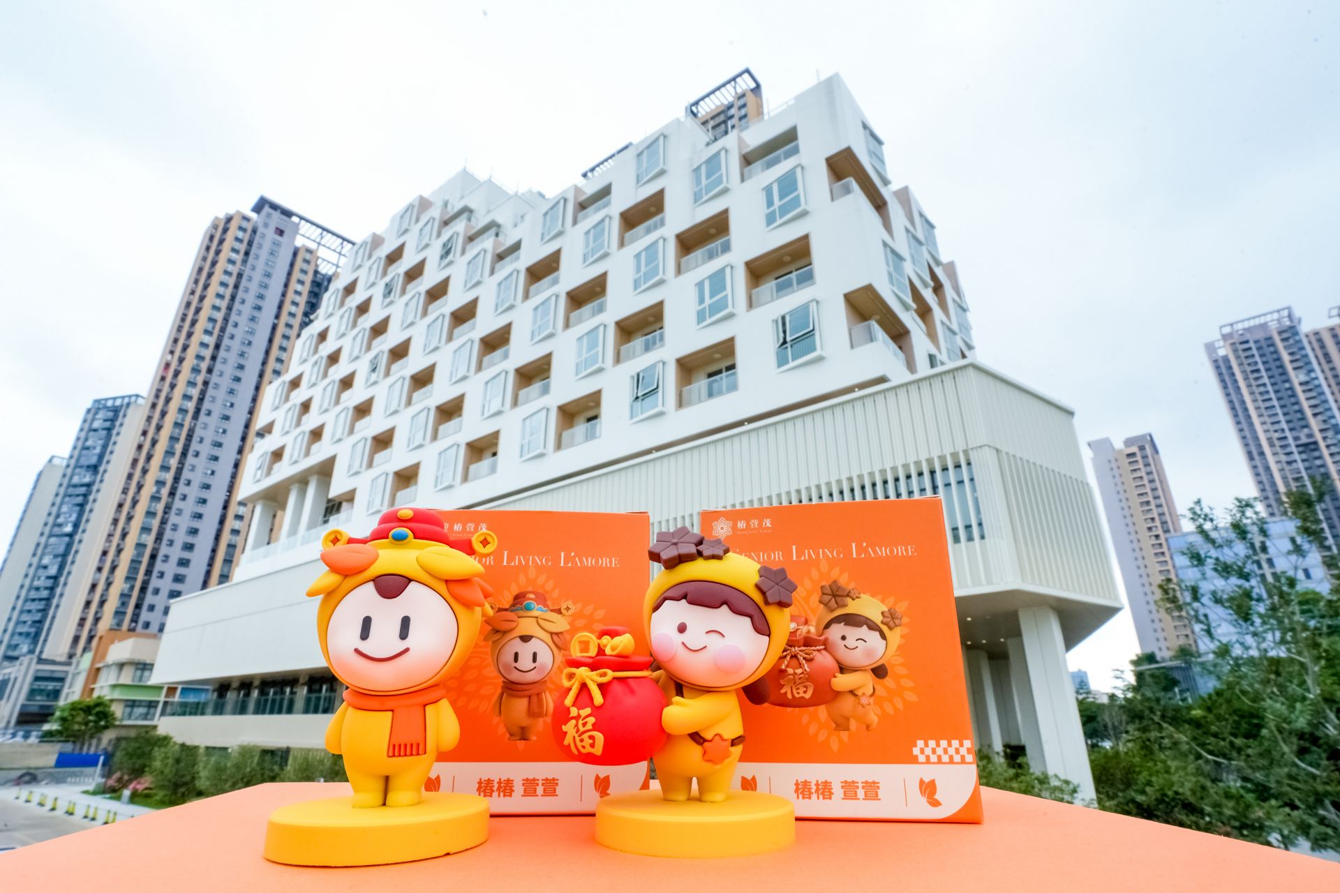 项目实景图4